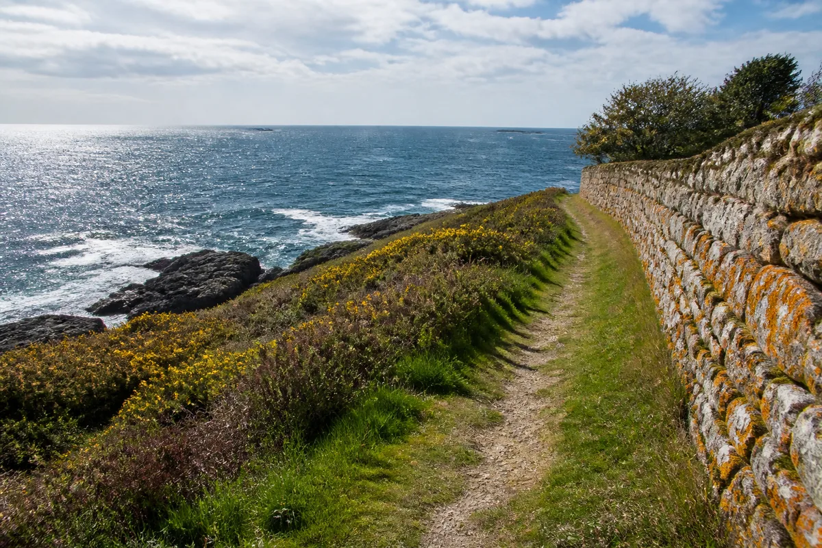 Sentier côtier herbeux longeant un mur de clôture en pierre, mer à l&rsquo;arrière-plan